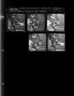 Christmas Seals Stuffing (5 Negatives) (November 10, 1962) [Sleeve 21, Folder e, Box 28]